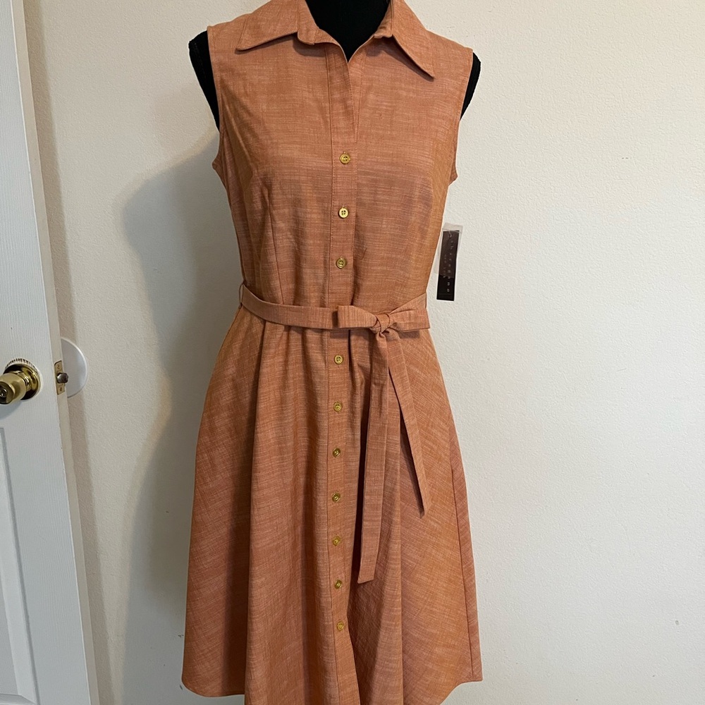 Super cute summer/fall orange pumpkin dress.